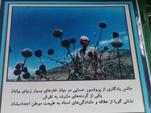 عکس کتابخانه موزه دکتر حسابی