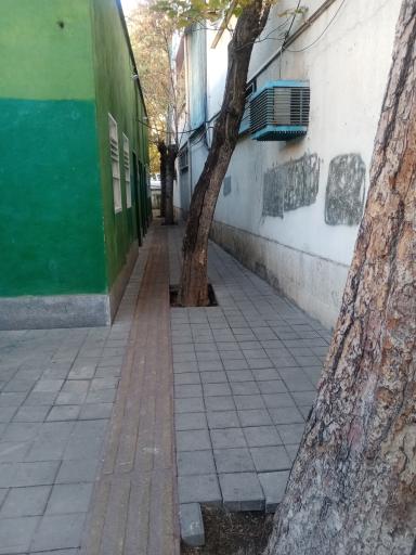 عکس سرویس بهداشتی