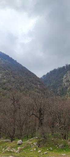 عکس پارک ملی گلستان