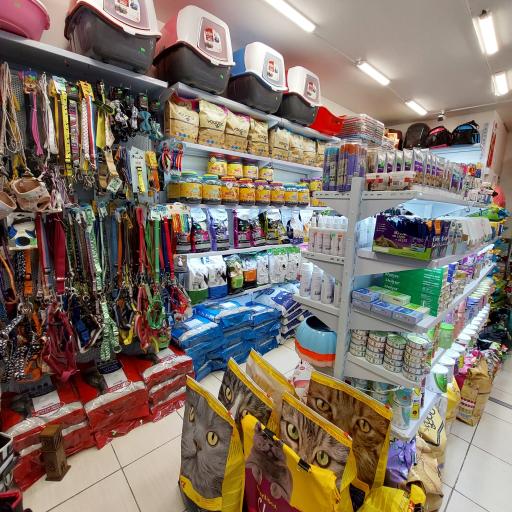 عکس پت شاپ کایان