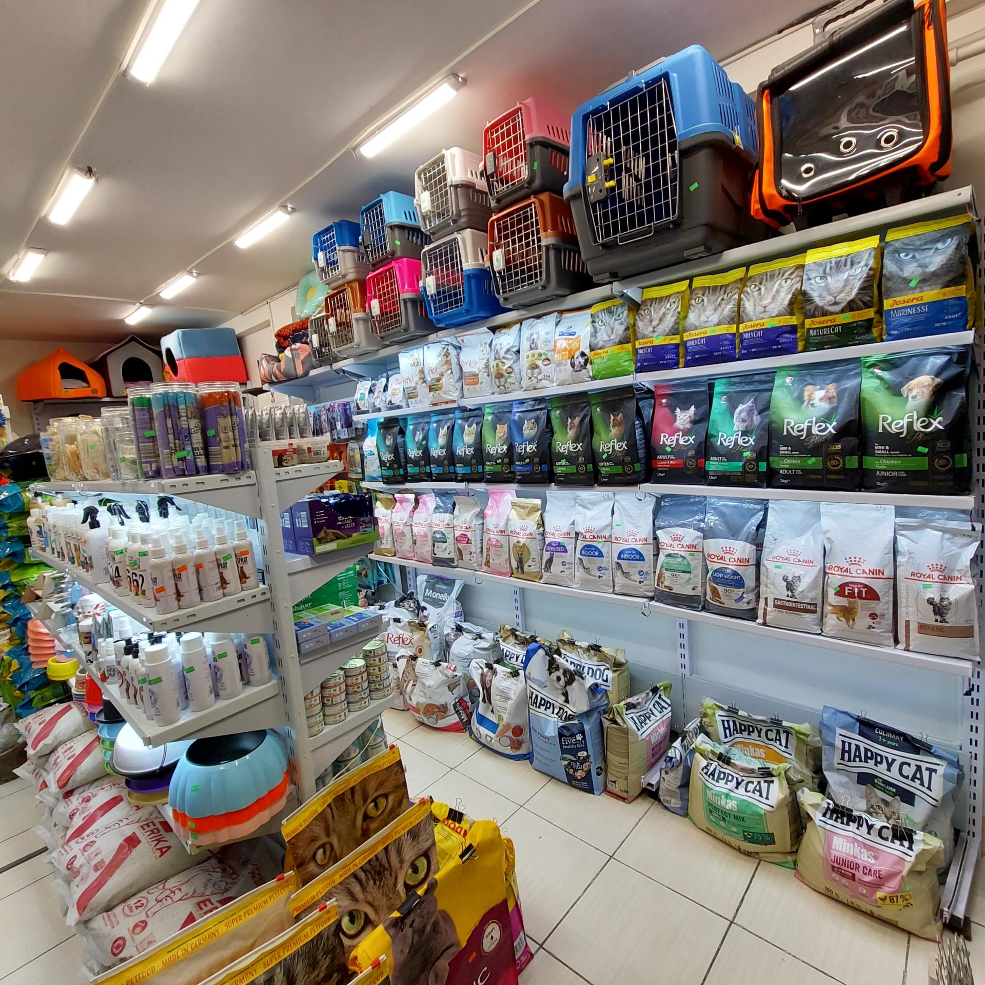 عکس پت شاپ کایان