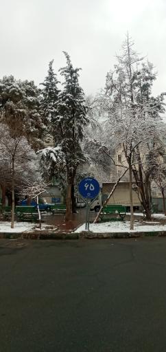 عکس میدان شصت و پنجم