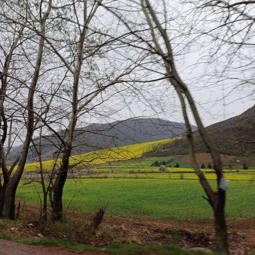 عکس پارک ملی گلستان