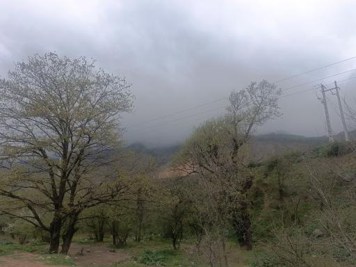 عکس پارک ملی گلستان