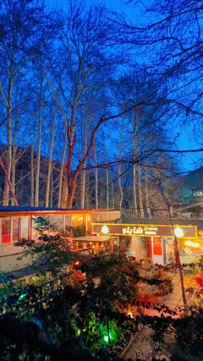 عکس کافه رستوران شایلو