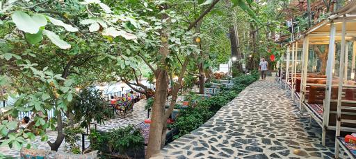 عکس کافه رستوران شایلو