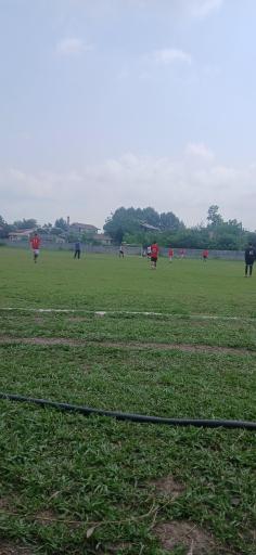 عکس زمین چمن شاندرمن 