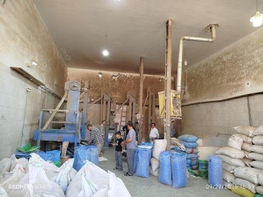 عکس آسیاب برنجکوبی سید کمال حسینی