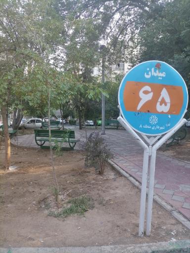 عکس میدان شصت و پنجم