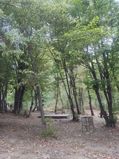 عکس پارک ملی گلستان