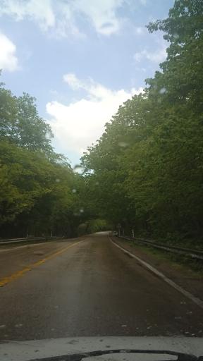 عکس پارک ملی گلستان