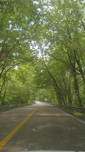 عکس پارک ملی گلستان