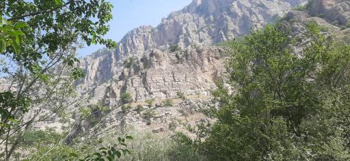 عکس پارک ملی گلستان