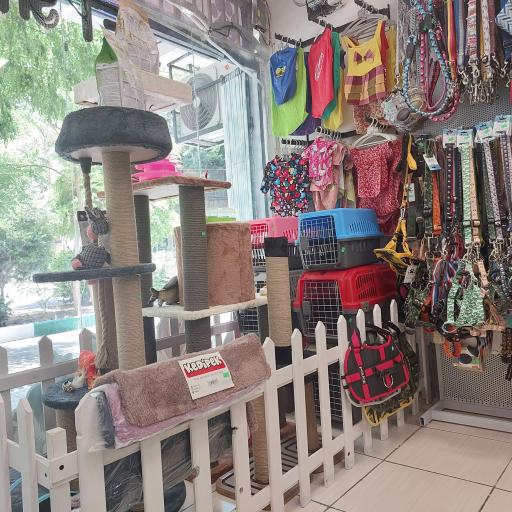 عکس پت شاپ کایان