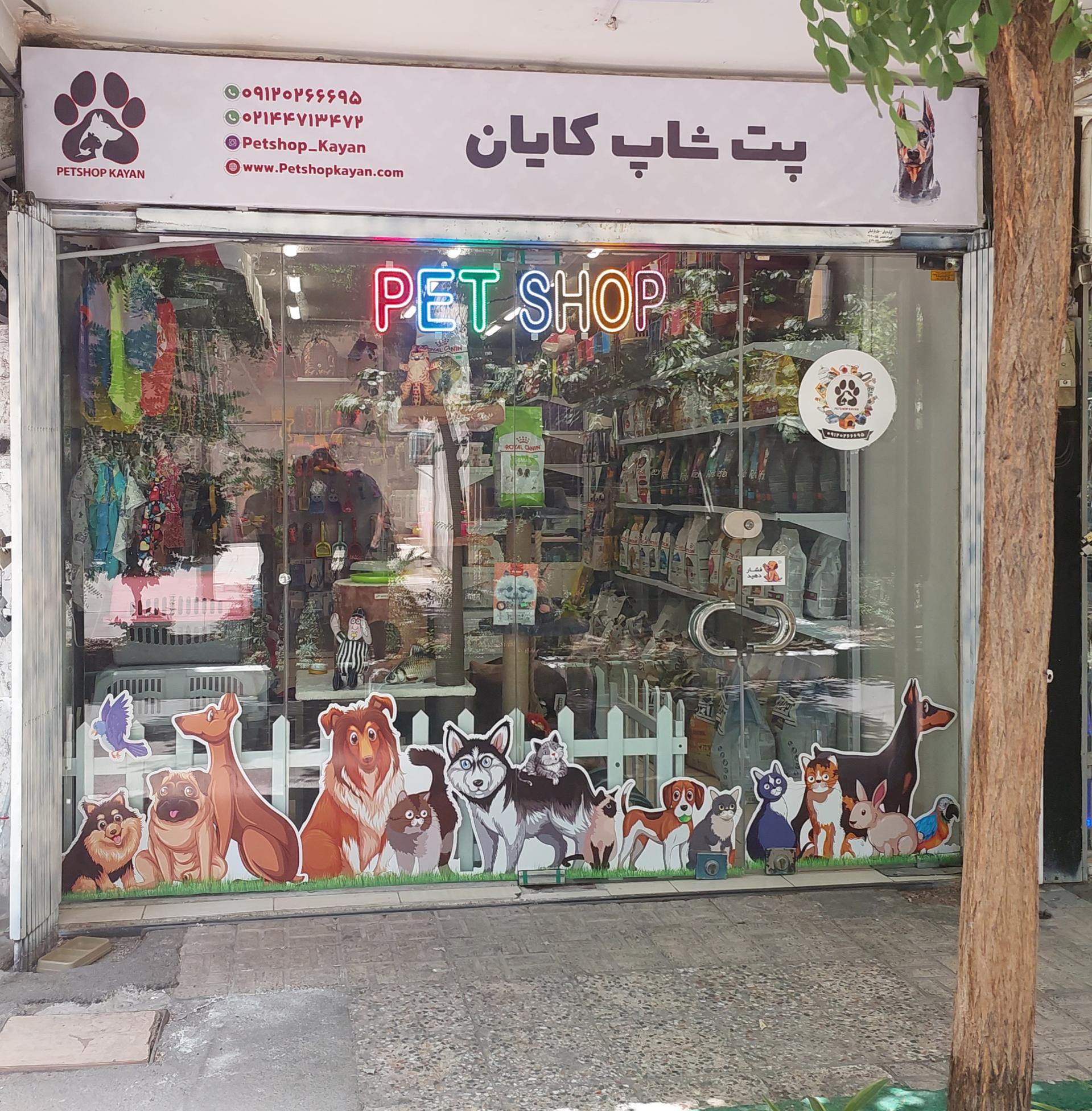 عکس پت شاپ کایان