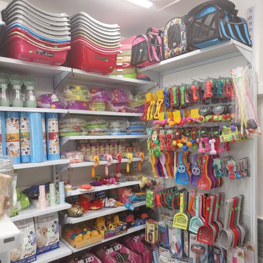 عکس پت شاپ کایان