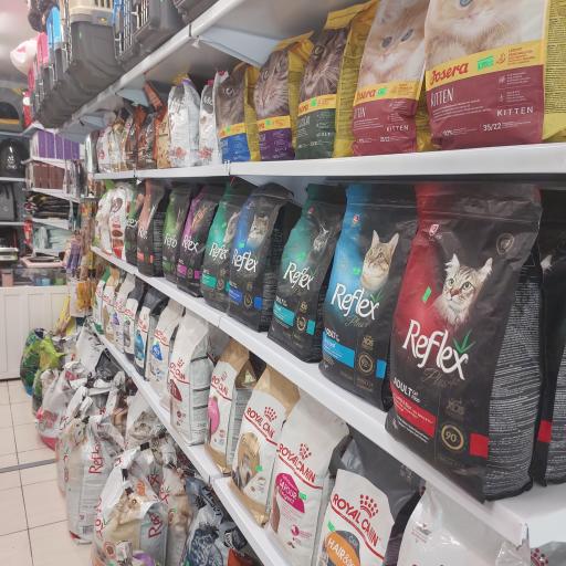 عکس پت شاپ کایان