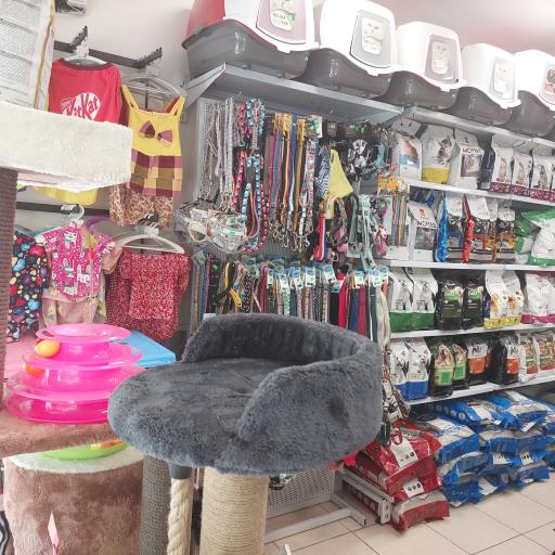 عکس پت شاپ کایان