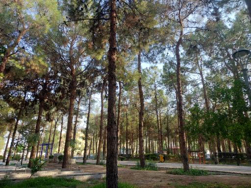 عکس پارک 17 شهریور سمنان