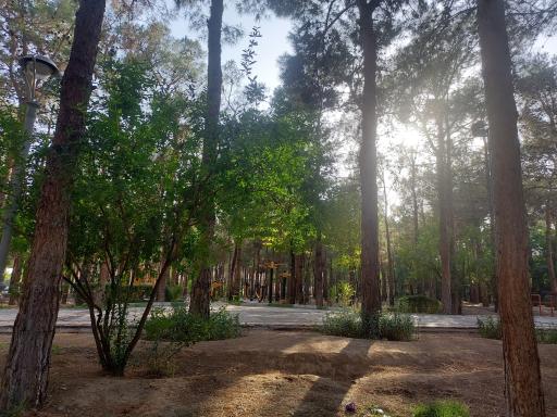 عکس پارک 17 شهریور سمنان