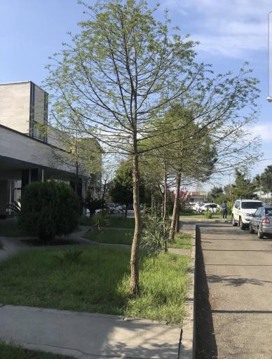 عکس بیمارستان شهید بهشتی انزلی