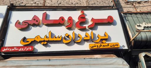 عکس مرغ وماهی برادران سلیمی 