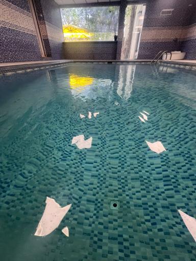 عکس باغ ویلای روژین