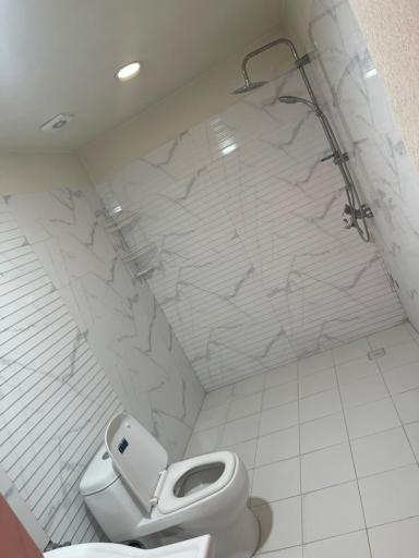 عکس باغ ویلای روژین