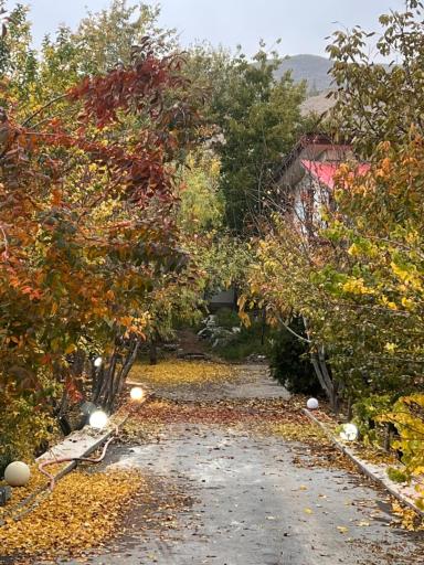 عکس باغ ویلای روژین