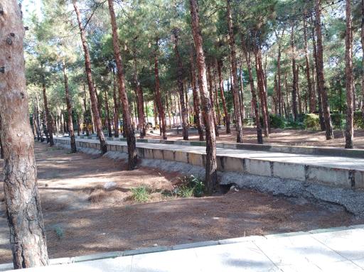 عکس پارک 17 شهریور سمنان