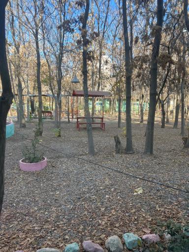 عکس کمپ ترک اعتیاد تولد دوباره - جوانان چیتگر