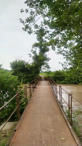 عکس لفمجان