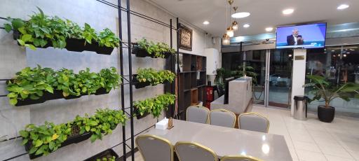 عکس رستوران آینه