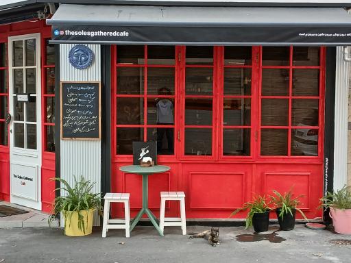 عکس کافه باهمان تنهایان