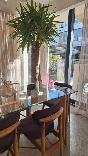 عکس پروژهٔ آن On Project 