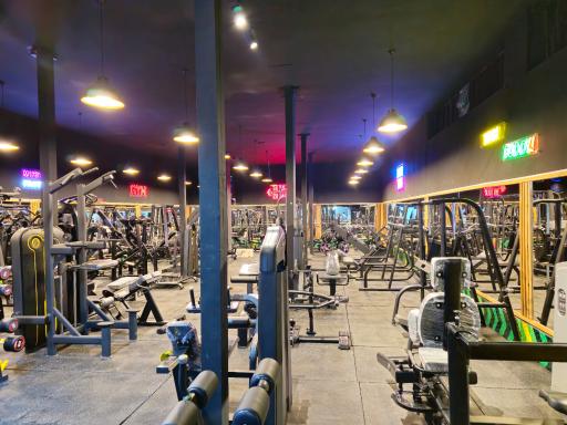 عکس باشگاه بدنسازی المپیا 