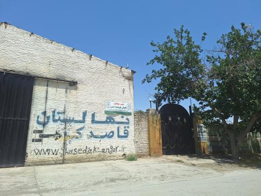 عکس نهالستان قاصدک 