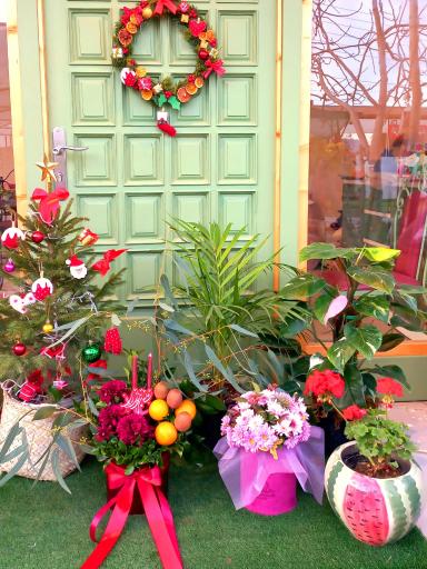 عکس گلخانه افرا