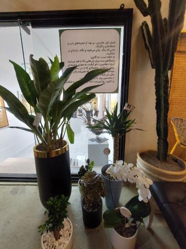 عکس کافه گالری هانیس