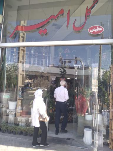 عکس گل امیر