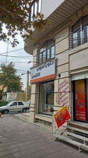 عکس دکوراسیون کاکتوس