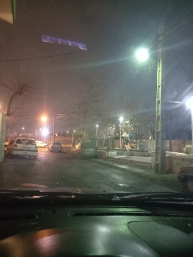 عکس بوستان گلدار