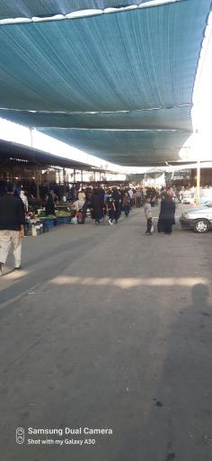 عکس میدان میوه و تره بار نوغان