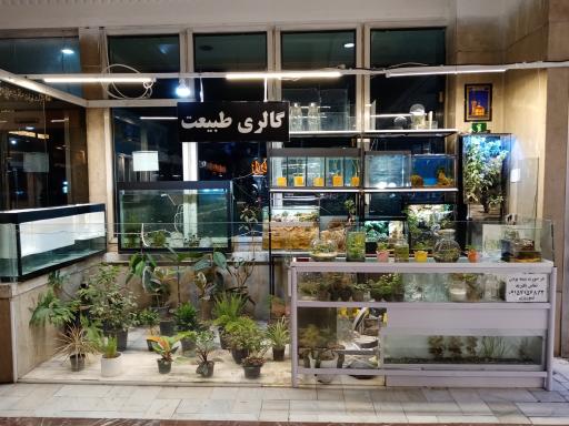 عکس گالری طبیعت