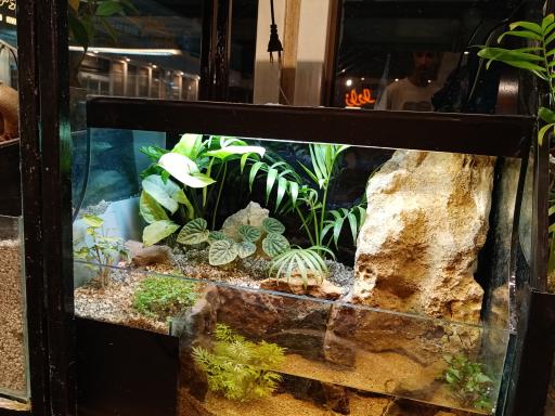 گالری طبیعت