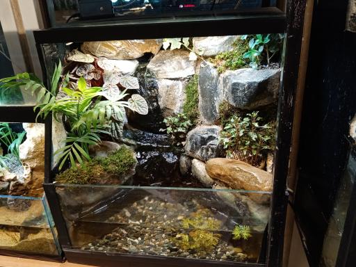 عکس گالری طبیعت