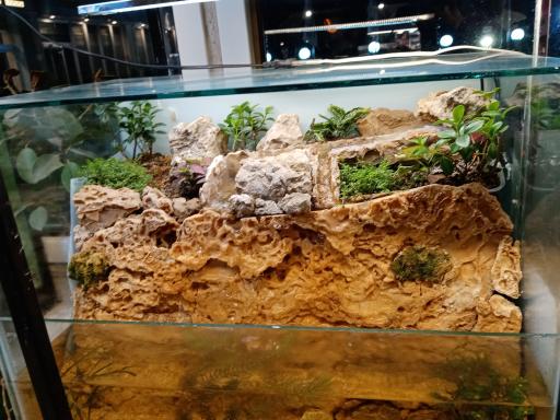 گالری طبیعت