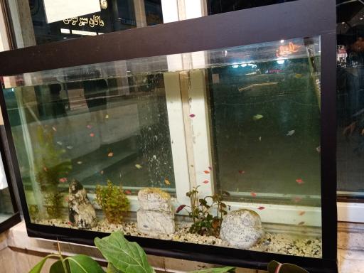 گالری طبیعت