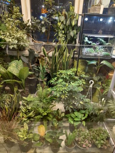 گالری طبیعت