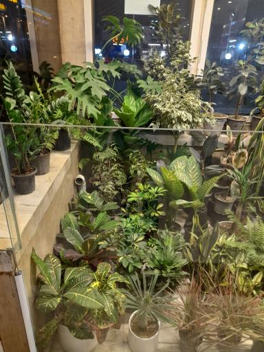 عکس گالری طبیعت